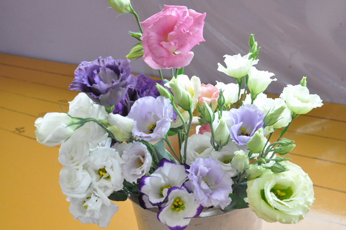 男前花農家を訪ねてトルコギキョウの里・南信州へ