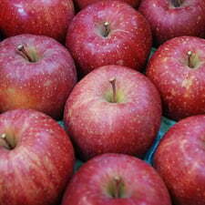 今週は「サンふじ」をプレゼント