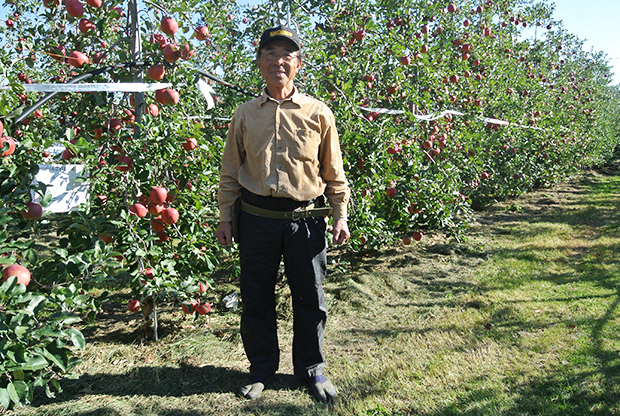りんご の 木 オーナー 長野
