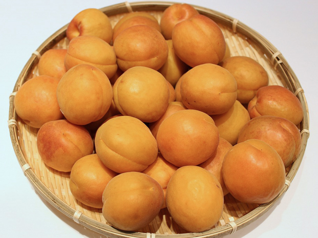 信鮮！信旬！キャンペーン