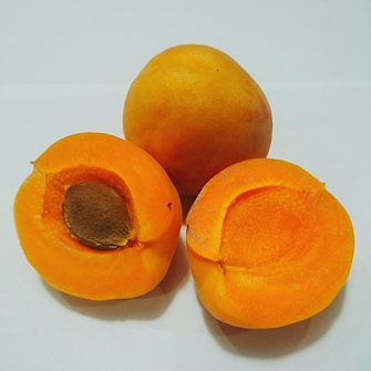 信鮮！信旬！キャンペーン