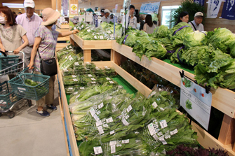 信鮮！信旬！キャンペーン