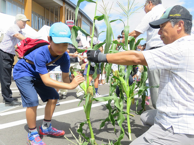 信鮮！信旬！キャンペーン