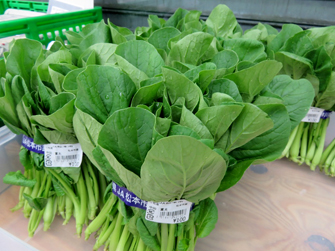 信鮮！信旬！キャンペーン