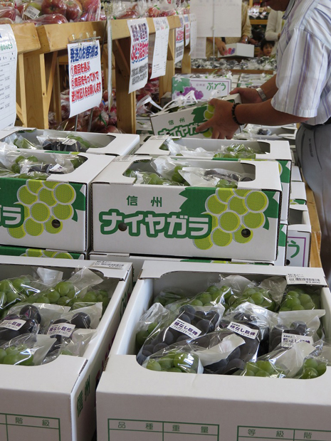 信鮮！信旬！キャンペーン