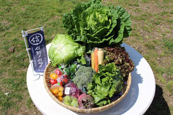 信鮮！信旬！キャンペーン