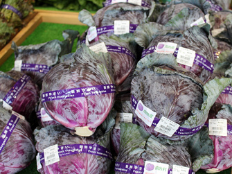 信鮮！信旬！キャンペーン