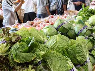 信鮮！信旬！キャンペーン