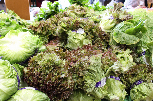 信鮮！信旬！キャンペーン