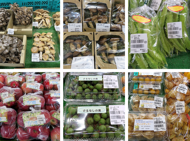 信鮮！信旬！キャンペーン