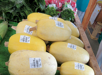 信鮮！信旬！キャンペーン