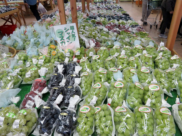 信鮮！信旬！キャンペーン