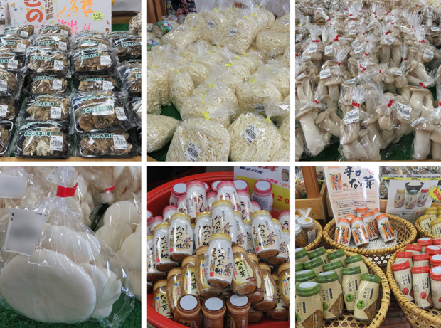 信鮮！信旬！キャンペーン