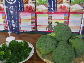 信鮮！信旬！キャンペーン