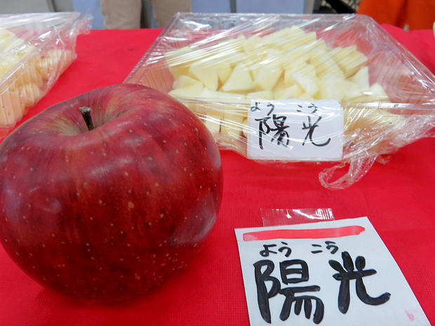 信鮮！信旬！キャンペーン