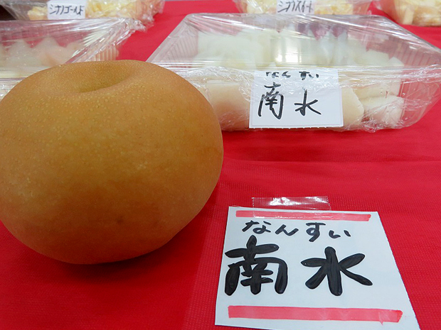 信鮮！信旬！キャンペーン