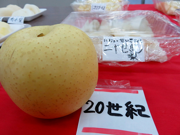 信鮮！信旬！キャンペーン