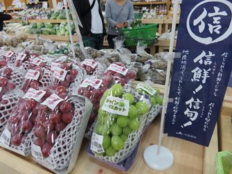 信鮮！信旬！キャンペーン