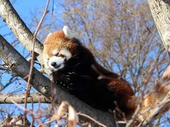 マンホールの中の寝床