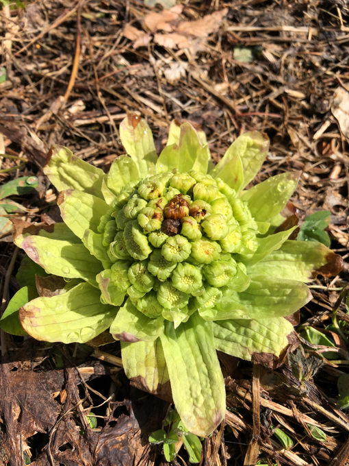 321はつぶやきの日