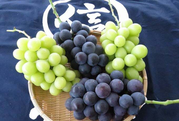 2018信鮮！信旬！キャンペーン14：今年のブドウは甘い！