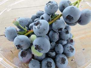 今週は「ブルーベリー」をプレゼント