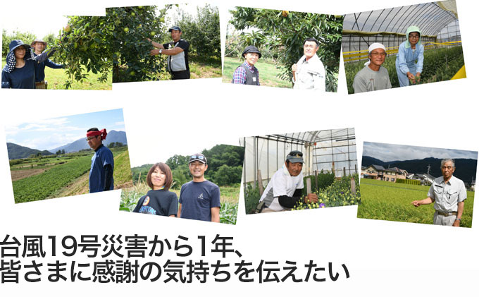台風19号災害から1年、農業をこれからも