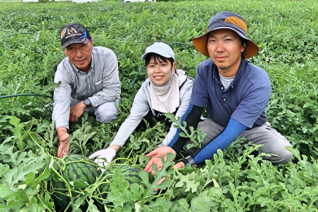 長野県のスイカ生産者・中野敬一さんと息子さん夫婦