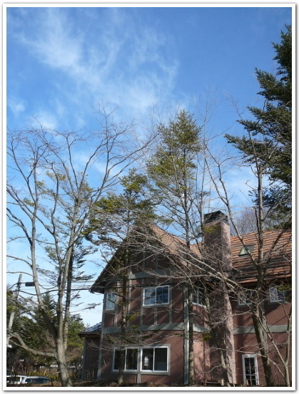 ゆったりとした時を味わう林のなかのカフェ：軽井沢町