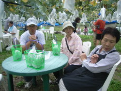 収穫の秋を祝福しに生坂村においでください