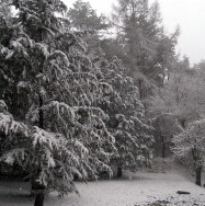 新信州暦　一雨ごとに近づく春を風に感じる