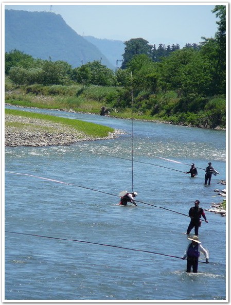 鮎釣りが信州の渓流に夏の到来を告げてます