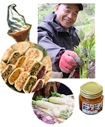 野菜も果実も種類豊富な直売所「りんごの里」（飯田市）