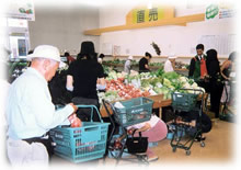 農産物直売所最新お立ち寄り情報