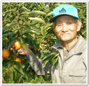 こんなにうまい甘柿が長野県で作れるなんて