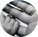 新・信州暦　父の日から夏至までの間