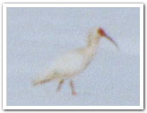 新信州暦　信州では味噌作りの季節を迎えて