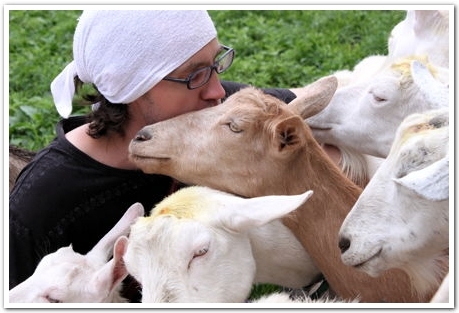 白馬村にしかない特別なヤギのチーズ　前編
