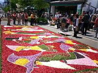 信州の春を花で喜び合う祝祭の８日間