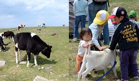 新鮮な牛乳で乾杯！「美ヶ原牧場 放牧祭り」