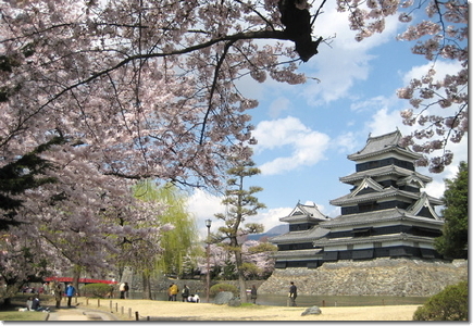 春を迎えた北信濃路は今花の咲き乱れる季節