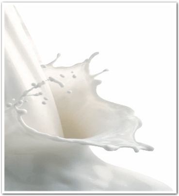 野辺山高原の新鮮なミルクからできる乳製品