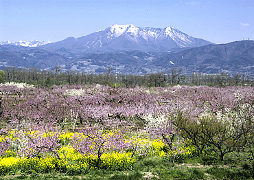 須坂の４つの季節を巡る農事録　