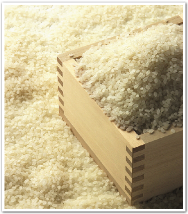 長野県のお米が特別なのには理由があります