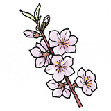 新信州暦　待ちこがれた信州の春がやってきた