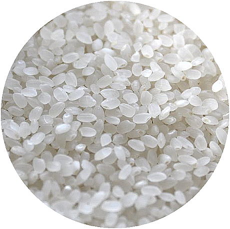 米粉が切り拓いていく新しいお米の未来の形