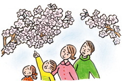 新信州暦　一面の菜の花畑をどこまでも歩く