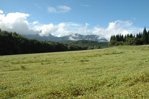 そばの聖地戸隠のそば祭りに来てみませんか