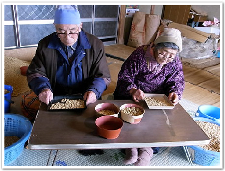 長野県に良質な大豆が存在する理由を求めて