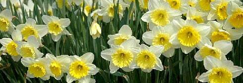 凍りもちは人と米と寒さと風と時で作ります